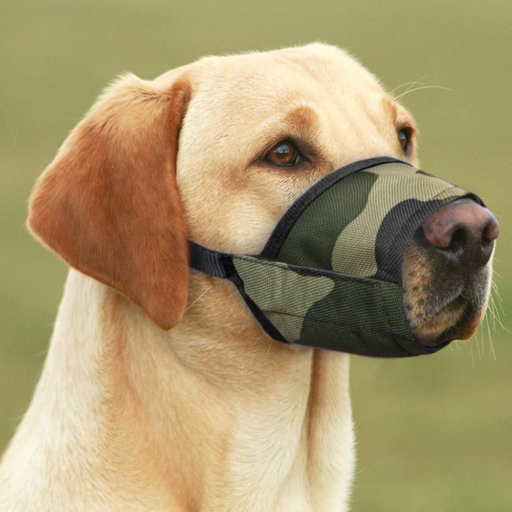 Small Large Dog Muzzle Anti Bite Dogs Muzzles Pet