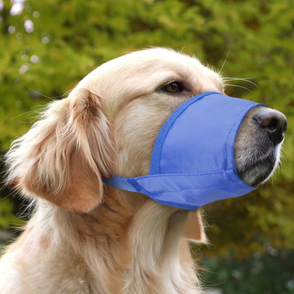 Small Large Dog Muzzle Anti Bite Dogs Muzzles Pet